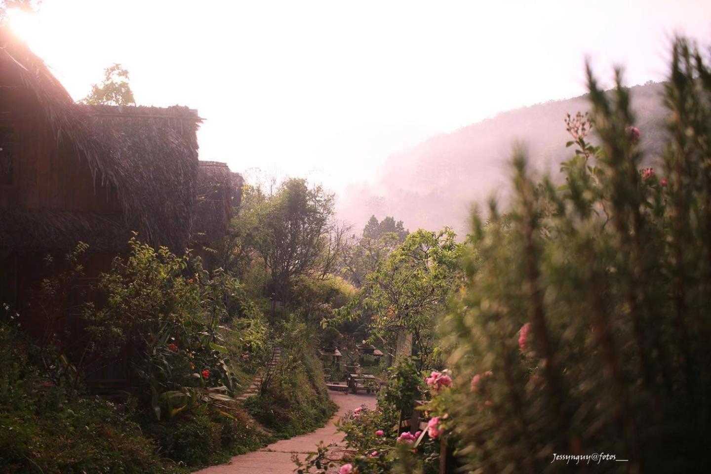 Vuon Nha Cui Homestay Далат Экстерьер фото